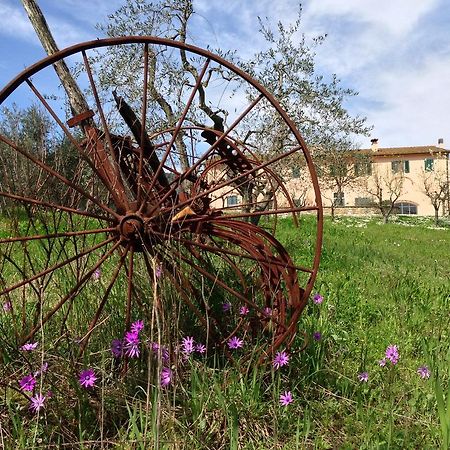 Agriturismo La Torricella Pistoia Exterior foto
